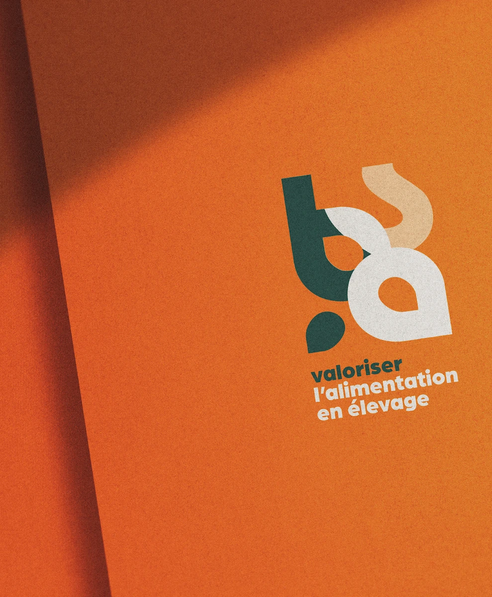 projet jolilot création identité visuelle et direction artistique